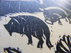 biblioteca 270 copy.jpg